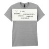 Adult t-shirt Heavy Cotton Thumbnail